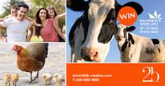 Win 2 free tickets for this year’s Balmoral Show!! The Balmoral Show is one of t...